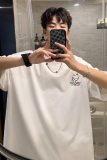 已注册/夏季休闲潮流短袖T恤男宽松情侣体恤打底衫DT2313/P25，男装T恤，电商B316