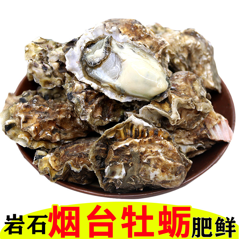 烟台大生蚝即食水产现捞1斤牡蛎