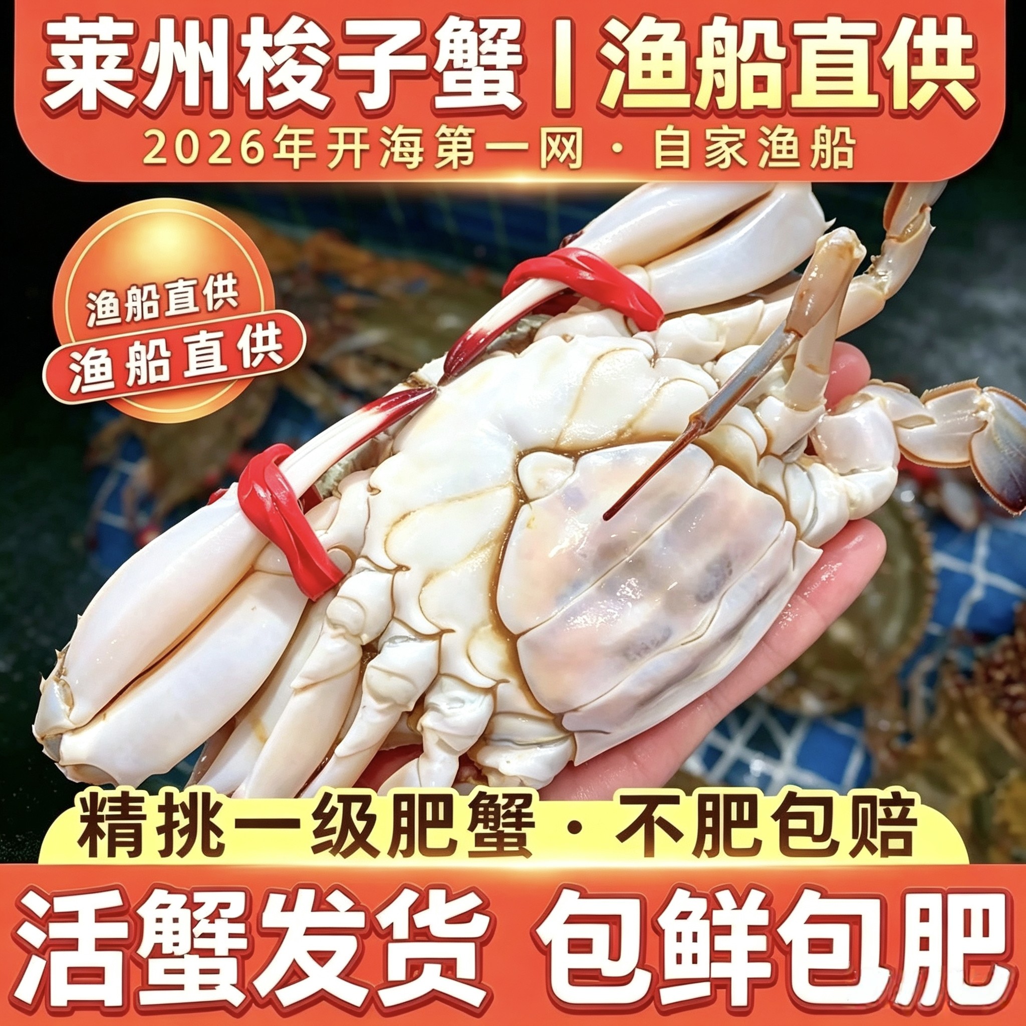 【保鲜不保活】莱州湾梭子蟹新鲜野生飞蟹特大满黄母蟹红膏蟹螃蟹
