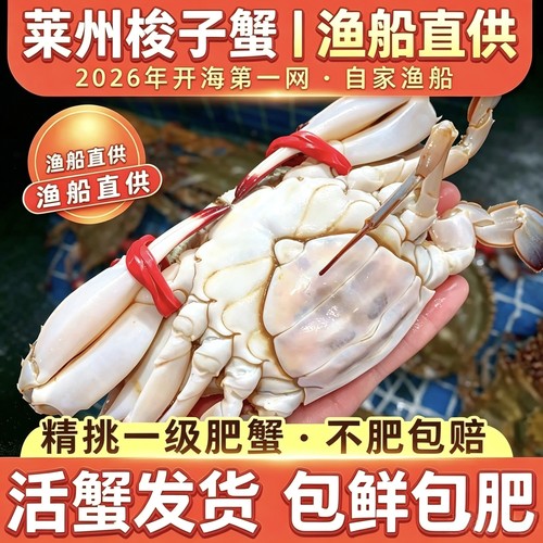 梭子蟹母蟹梭子蟹大公蟹海捕飞蟹
