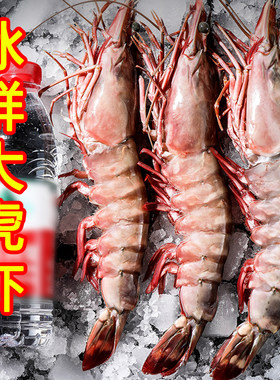 特大黑虎虾海虾鲜活超大虎虾新鲜野生红爪巨型大虾速冻大对虾盒装