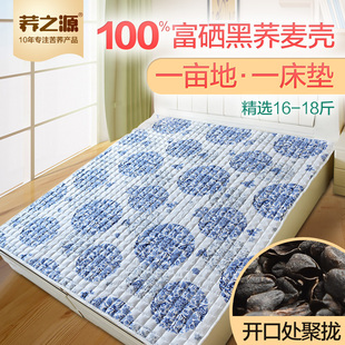 荞麦皮床垫双人天然苦荞壳褥子送长辈老人领导冬夏两用榻榻米床垫