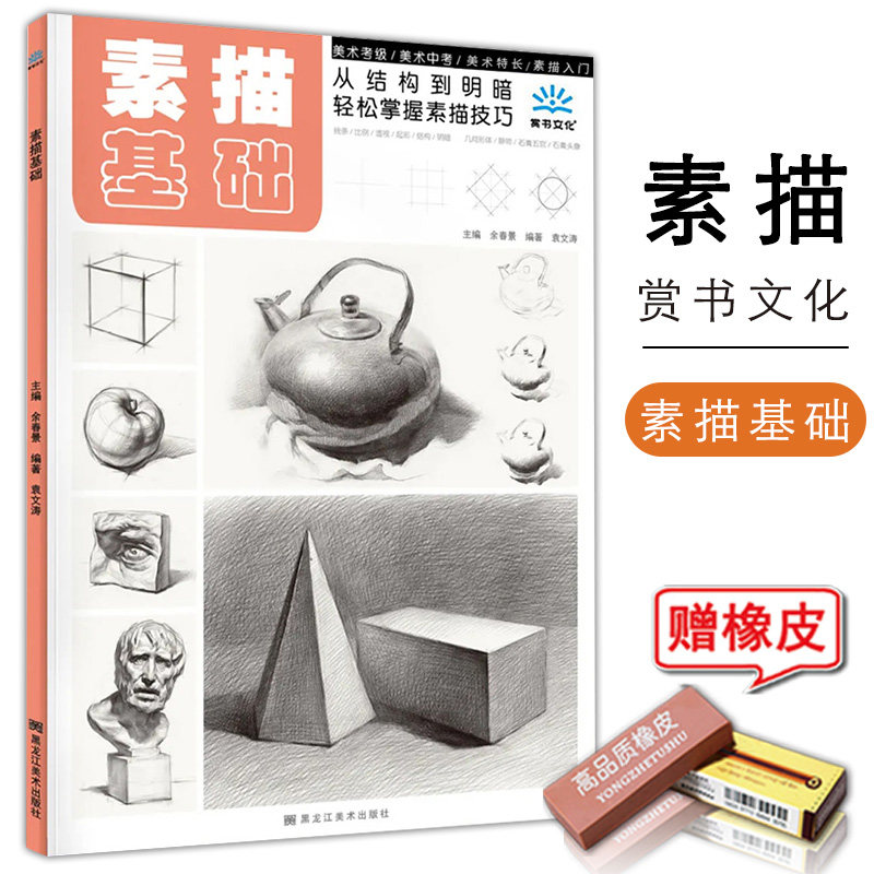 素描基础入门教程书籍临摹画册范本赏书文化余春景袁文涛单个组合写生照片绘画画美术课件铅笔手绘结构静物石膏几何体人物头像