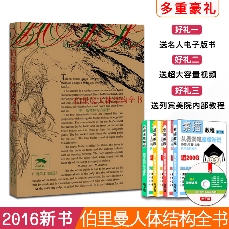 【满300减30】伯里曼人体结构全书 64开美术线描人体结构教学画手艺用人体结构绘画教学解剖技法基础人体结构全书速写书