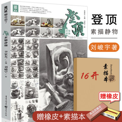 登顶素描静物2020敲门砖基础单体组合结构步骤临摹照片对画起跑线素描全集经典课件基本功训练静物结构石膏