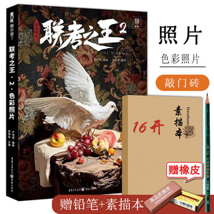 联考之王2色彩照片2021敲门砖李家友卢宝成塑造基础水果蔬菜花卉杂物类组合小场景风景考题训练单个静物造型归纳美术绘画教材书