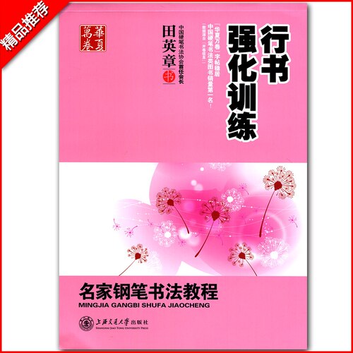 字帖 钢笔行书强化训练名家钢笔书法教程田英章书书纸 硬笔钢笔成人学生行书书法练习临摹