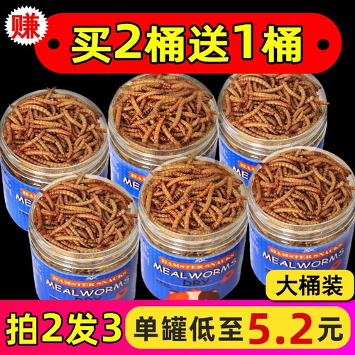仓鼠金丝熊小零食高蛋白面包虫干