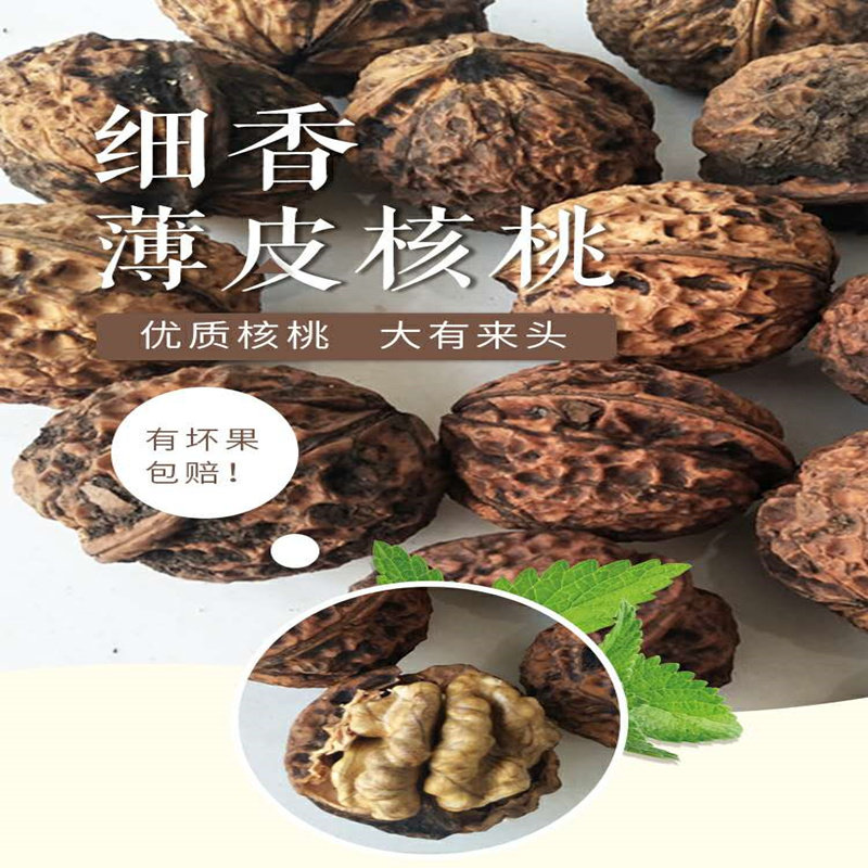 2023年云南新鲜小麻查老树薄纸皮/薄皮核桃