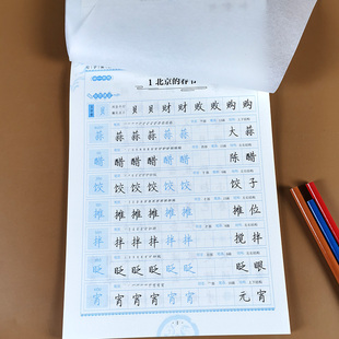 六年级下册字帖 语文教材同步练字帖 带临摹纸 人教版部编下学期写字课课练 小学生专用控笔训练字帖每日一练罗杨书法硬笔钢笔行楷