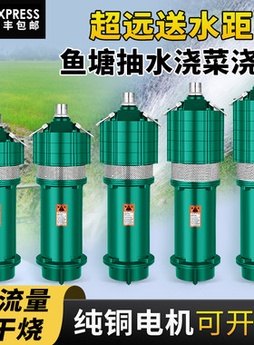 抽水泵小型1寸两相电深井泵农用水井大功率潜水泵家用220伏多功能
