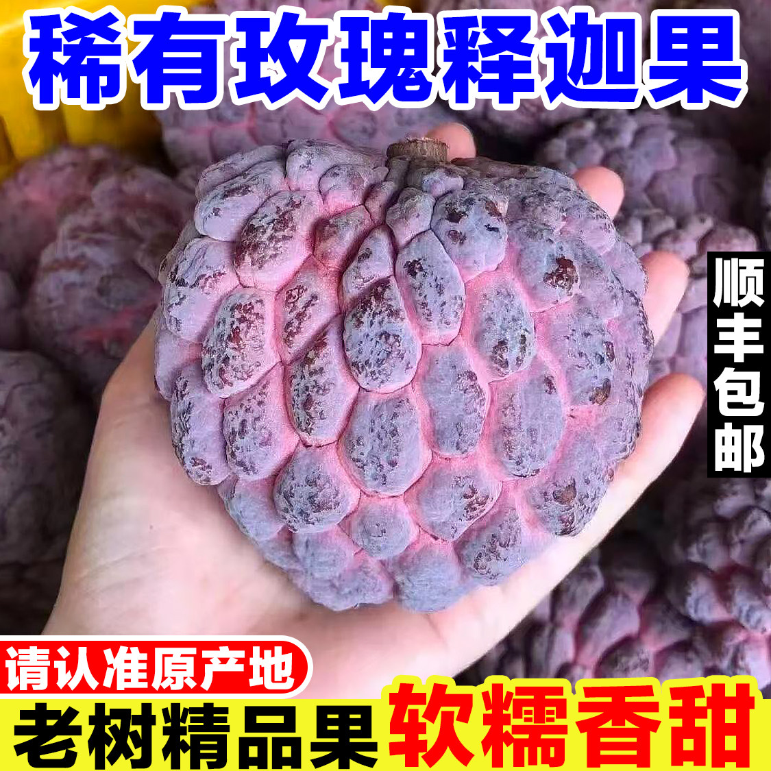 稀有玫瑰释迦果新鲜当季水果现摘番荔枝佛头果紫红释迦果恶魔果实图片