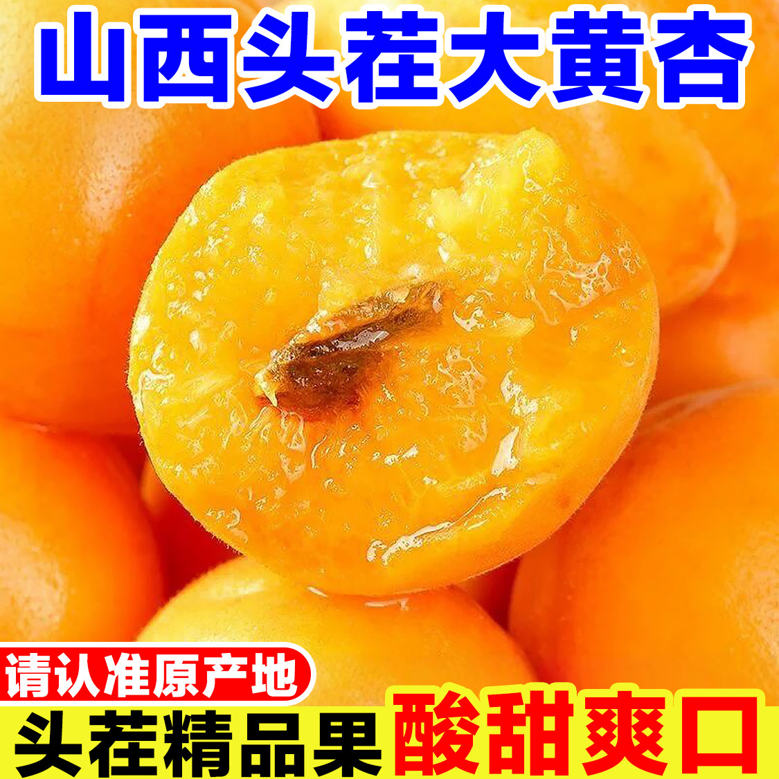 山西头茬大黄杏新鲜杏子当季孕妇水果现摘金太阳黄杏大果酸甜可口
