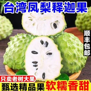 台湾凤梨释迦果新鲜当季孕妇水果现摘牛奶释迦果大目番荔枝佛头果