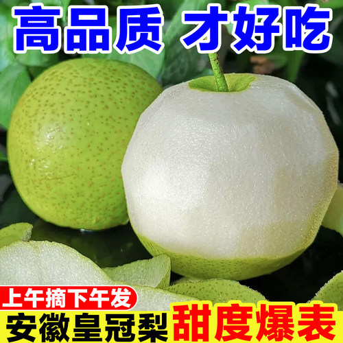 正宗砀山梨青皮皇冠梨新鲜水果脆甜薄皮牛奶梨当季梨子多汁一整箱