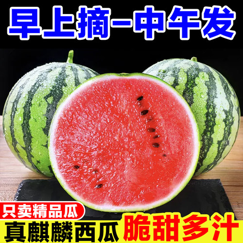 正宗麒麟西瓜新鲜当季水果现摘8424美都西瓜脆甜多汁有籽无籽西瓜