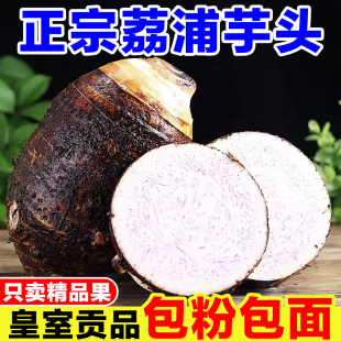 广西荔浦新鲜大果芋头整箱现挖粉面香芋正宗特产槟榔芋紫藤毛芋