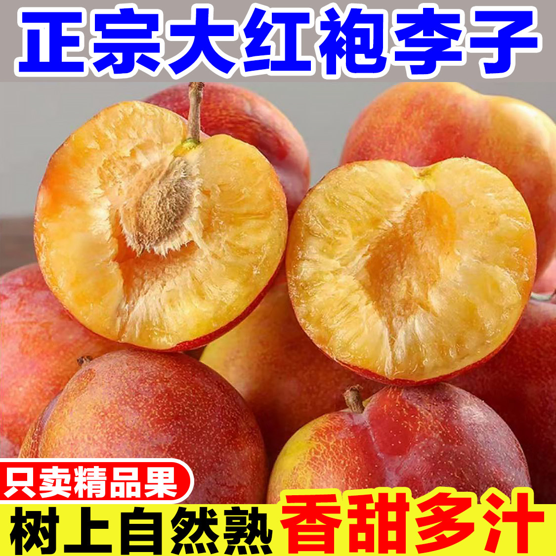 正宗东北大红袍李子新鲜当季孕妇水果现摘黄心脱骨李干核大李子