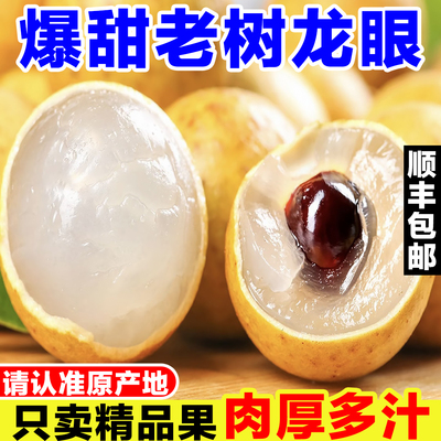广东高州龙眼新鲜当季孕妇水果现摘储良石峡桂圆鲜果老树大果整箱
