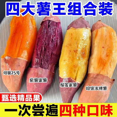 四大名薯拼装榴莲蜜薯红瑶番薯紫薯烟薯25号哈密冰糖红薯四色组合