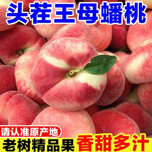 正宗王母蟠桃新鲜当季孕妇水果现摘红毛蟠桃子纽扣扁桃水蜜桃整箱