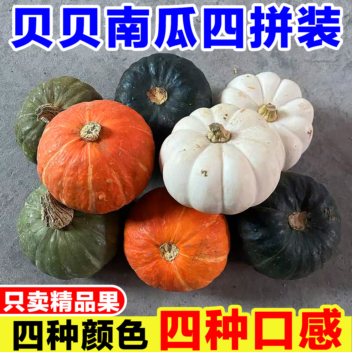 四色贝贝南瓜组合奶油贝贝南瓜三色栗栗南瓜金贝贝白贝贝南瓜四拼