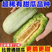正宗博洋72甜瓜新鲜博洋蜜瓜当季 水果脆甜香瓜哈密瓜羊角脆瓜整箱