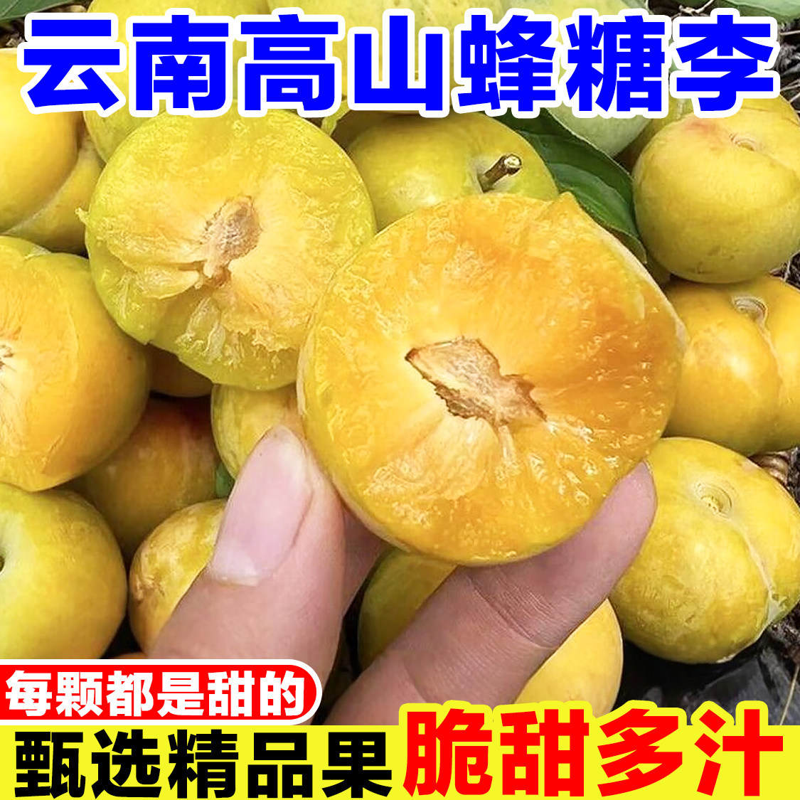 云南高山蜂糖李新鲜当季孕妇水果现摘金丝蜜李金沙李冰糖李黄肉李