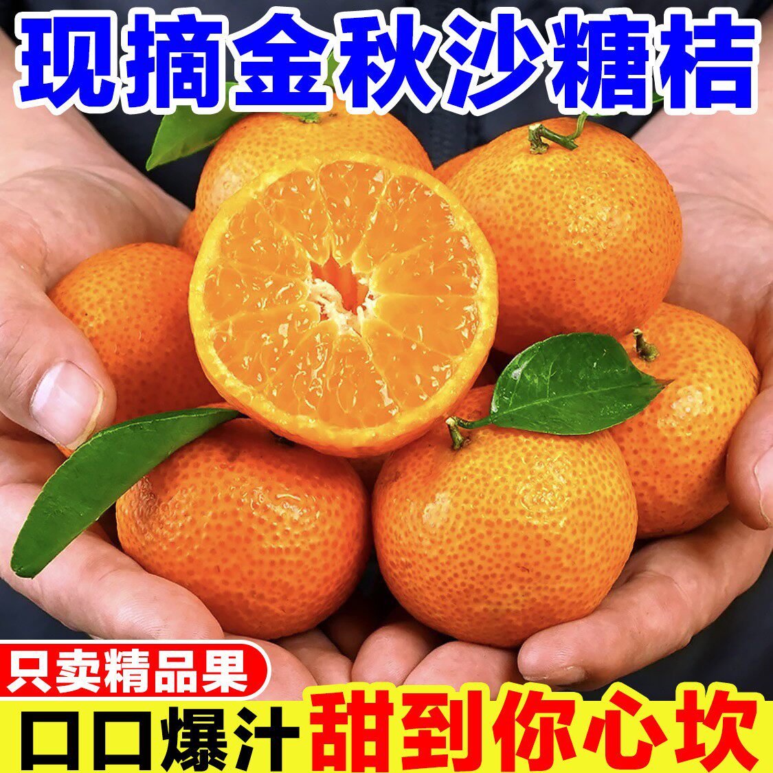 正宗金秋砂糖橘新鲜当季孕妇水果现摘沙糖桔子薄皮蜜桔蜜橘子整箱