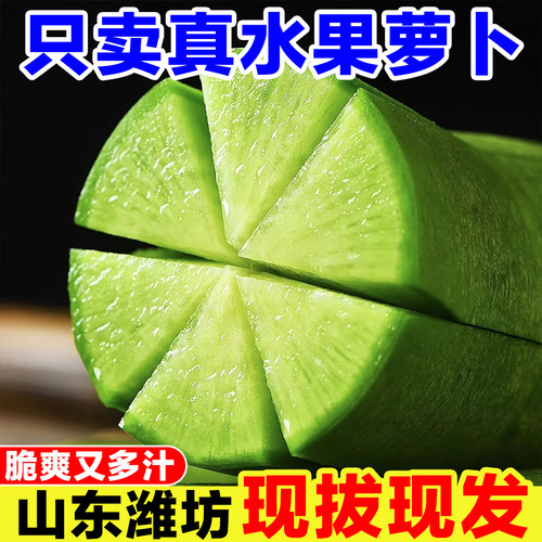 山东潍坊水果萝卜新鲜现摘青皮萝卜绿皮沙窝萝卜脆甜生吃蘸酱萝卜