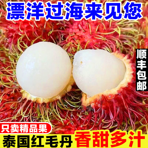 泰国进口红毛丹新鲜当季现摘毛荔枝热带稀有水果7号毛丹果红牡丹