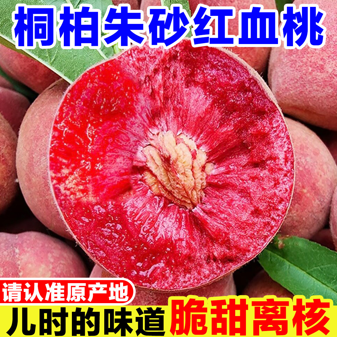 河南朱砂红血桃新鲜红肉桃子当季孕妇水果现摘水蜜桃桐柏红心毛桃