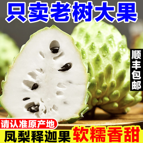 泰国大目凤梨释迦果新鲜当季孕妇水果现摘番荔枝佛头果摩尼果大果