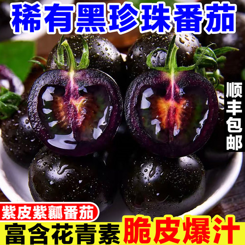 山东黑珍珠番茄黑紫色圣女果新鲜当季黑玫瑰小番茄生吃水果小柿子