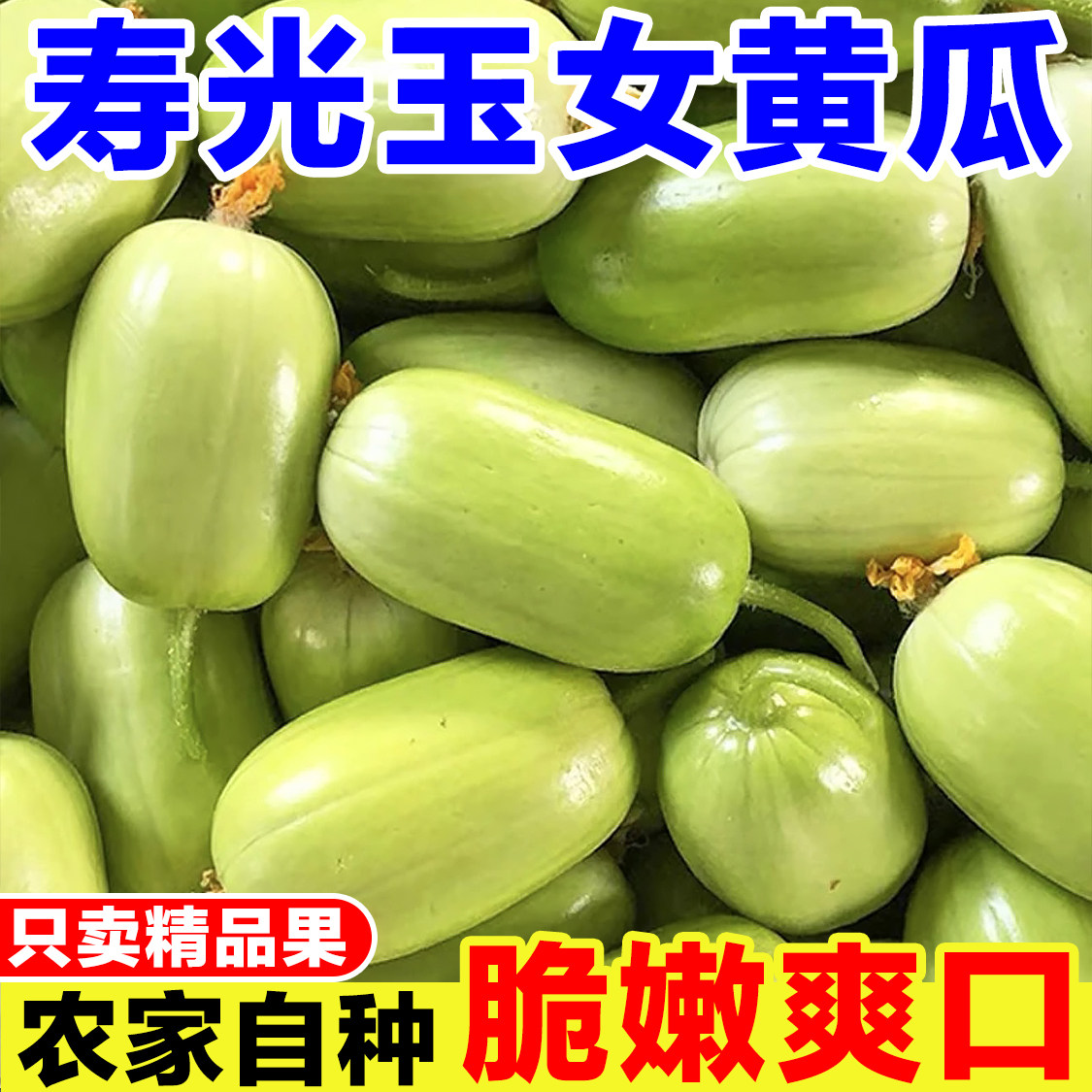 金童玉女黄瓜水果小黄瓜新鲜脆嫩拇指小黄瓜旱白玉青瓜生吃蔬菜