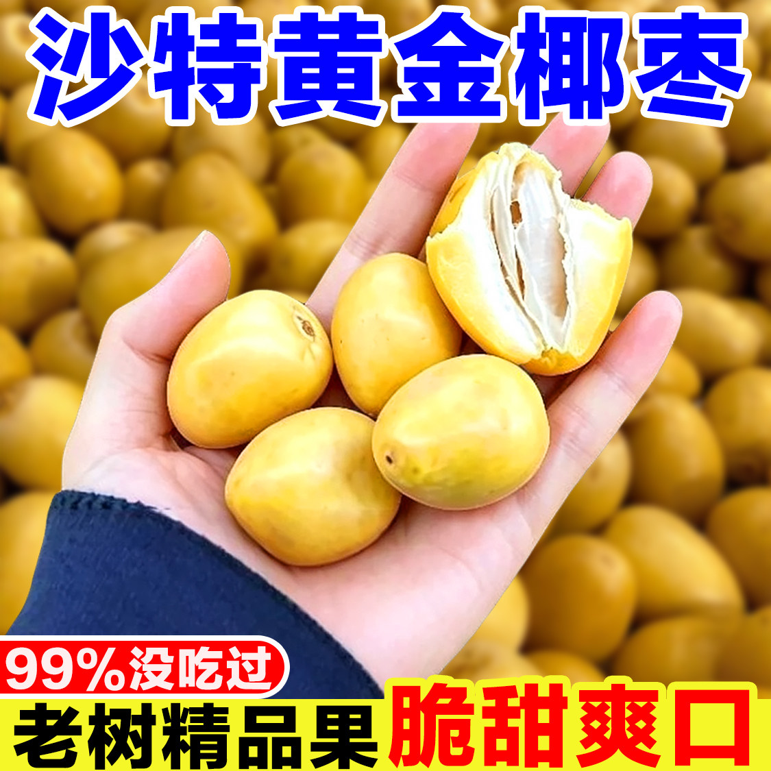 沙特黄金椰枣新鲜当季水果现摘黄皮甜枣子波斯枣海枣特级椰枣鲜果