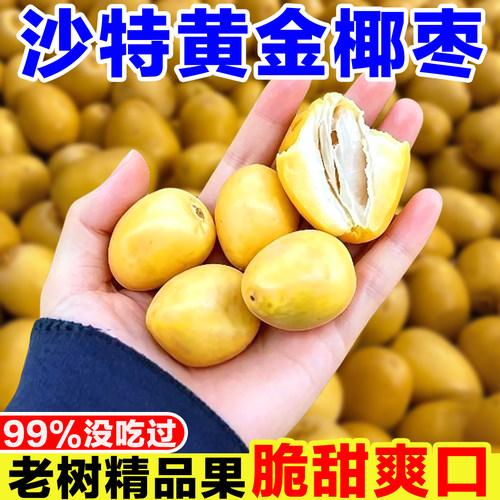 沙特黄金椰枣新鲜当季水果现摘黄皮甜枣子波斯枣海枣特级椰枣鲜果
