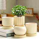 花盆奶油风简约带托盘透气多肉绿植蝴蝶兰家用小盆栽精致治愈风