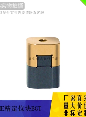 厂家供应DME-EOC镀钛定位块BGT02020 BGT03526 BGT04530 方形顶锁