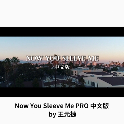 2020王元捷 Now You Sleeve Me Pro中文版 硬币魔术教学申林推荐