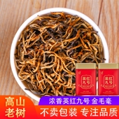 高山老树英红九号特级英德红茶浓香型金毛毫头春茶罐装 2025新茶