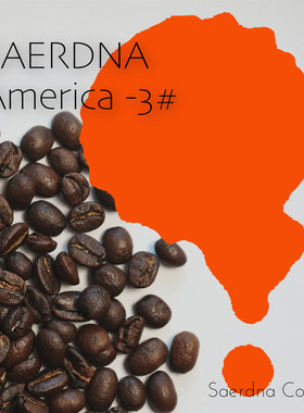 Saerdna Coffee  America-3#