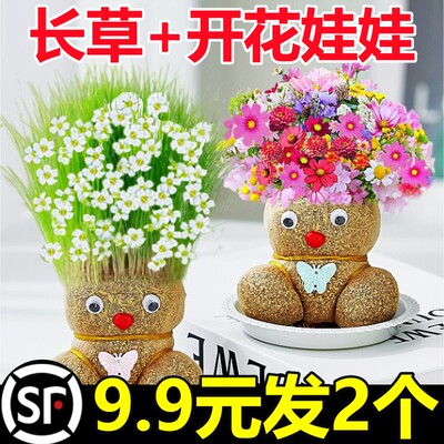 新疆包邮草头上长草人小