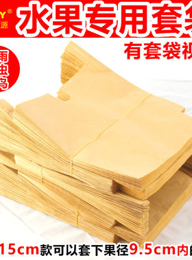 桃子专用套袋桃子果袋