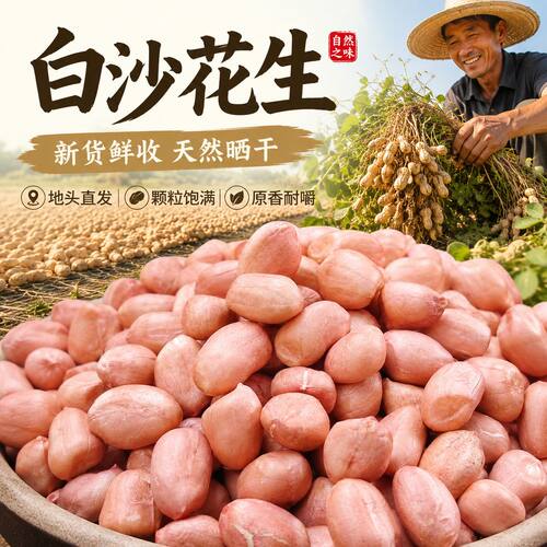 26年新货白沙花生米农家自产新鲜花生仁无壳生花生米饭店炸花生米