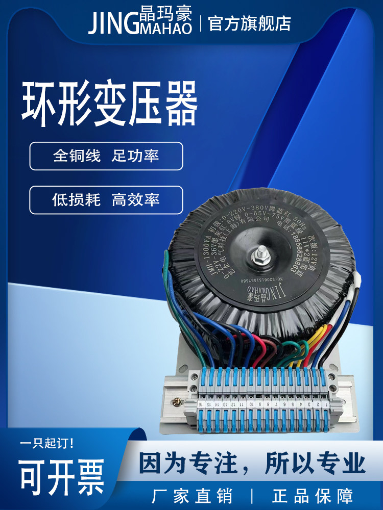 环形变压器50W100W200W300W500W1000W110V220V转380V12V24V36V48V