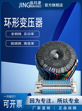 环形变压器50W100W200W300W500W1000W110V220V转380V12V24V36V48V