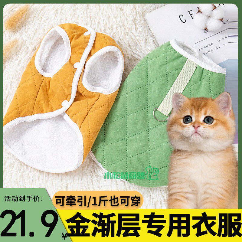 金渐层猫衣服带牵引绳猫包肚衣冬季保暖加厚小猫睡衣猫咪卫衣秋装