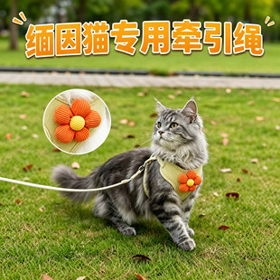 缅因猫专用小猫牵引绳猫咪宠物幼猫防挣脱外出背带牵引猫绳子户外