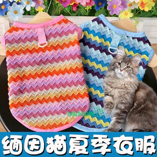 缅因猫专用猫咪夏天衣服背心薄款幼猫猫夏款吊带马甲透气服装夏装